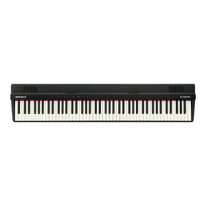 Roland GO:PIANO88 Entry Keyboard (GO-88PX)