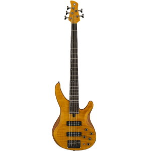 YAMAHA TRBX605FM MAM (}bgAo[) }n 5GLx[X