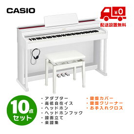 CASIO AP-470 WE お手入れ用品付き10点セット (標準配送設置無料)