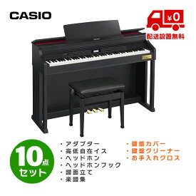 CASIO AP-710 BK お手入れ用品付き10点セット (標準配送設置無料)