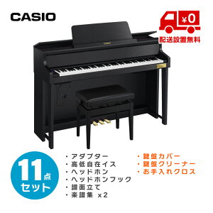 CASIO GP-310 BK pit11_Zbg (Wzݒu)