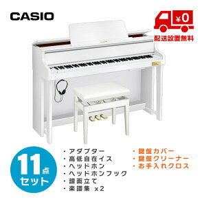 CASIO GP-310 WE pit11_Zbg (Wzݒu)