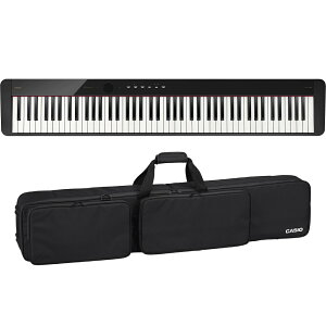 dqsAm CASIO PX-S1100 BK + SC-800P (p\tgP[X)