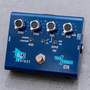 api TranZformer GTR