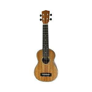 DCT UKULELE EN DUS-300M