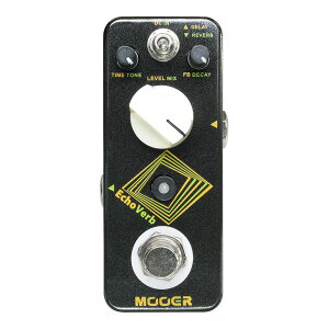 MOOER EchoVerb