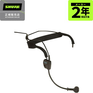 SHURE WH20XLR