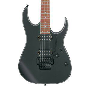 Ibanez RG Standard RG420EX-BKF (Black Flat)