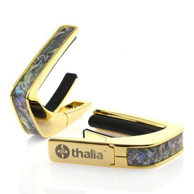 Thalia Capo Exotic Shell / Dragon Abalone / 24K Gold