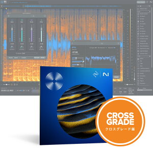 iZotope RX 11 Standard: Crossgrade from any paid iZotope product [[[i]