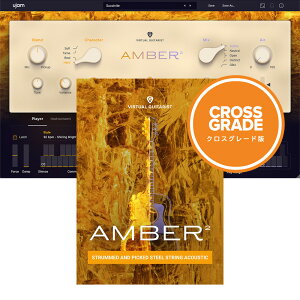 UJAM Virtual Guitarist AMBER 2 ���C�����e�B [���[���[�i]