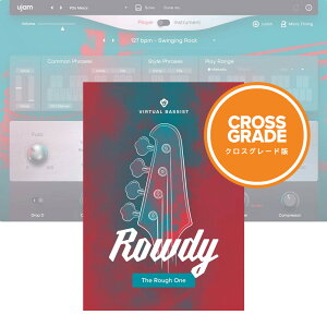 UJAM Virtual Bassist ROWDY 2 ���C�����e�B [���[���[�i]