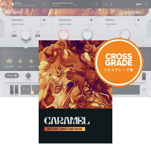 UJAM Usynth CARAMEL ���C�����e�B [���[���[�i]
