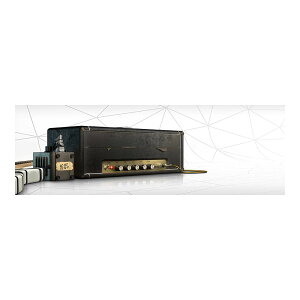 IK Multimedia TONEX Brown Sound 78/79 [[[i]