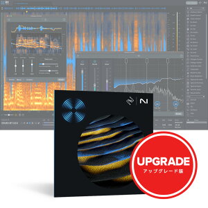 iZotope RX 11 Advanced: Upgrade from any previous version of RX Standard [���[���[�i]