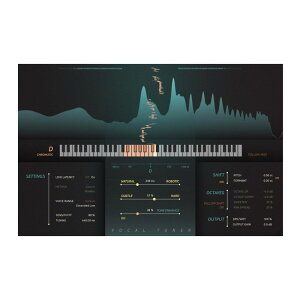 Softube VocalTuner [���[���[�i]
