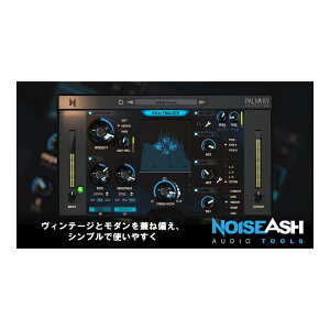 NoiseAsh Vocal Finalizer [���[���[�i]