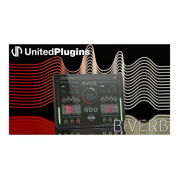 UnitedPlugins Biverb [メール納品]