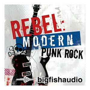 BIG FISH AUDIO REBEL / MODERN PUNK ROCK[���[���[�i]