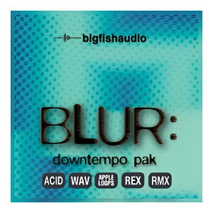 BIG FISH AUDIO BLUR - DOWNTEMPO PAK[���[���[�i]