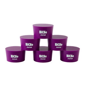 NiCSo BUREEN