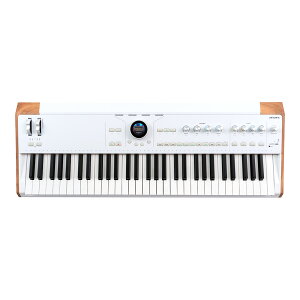 Arturia AstroLab 61 [�������K�i�E�V�i]