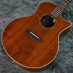 ELK GRAND Koa [ƂꂵANZT[ v[gtFAI]