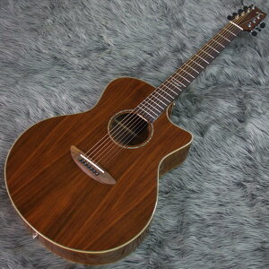 ELK STEEL 7 II Koa [ƂꂵANZT[ v[gtFAI]