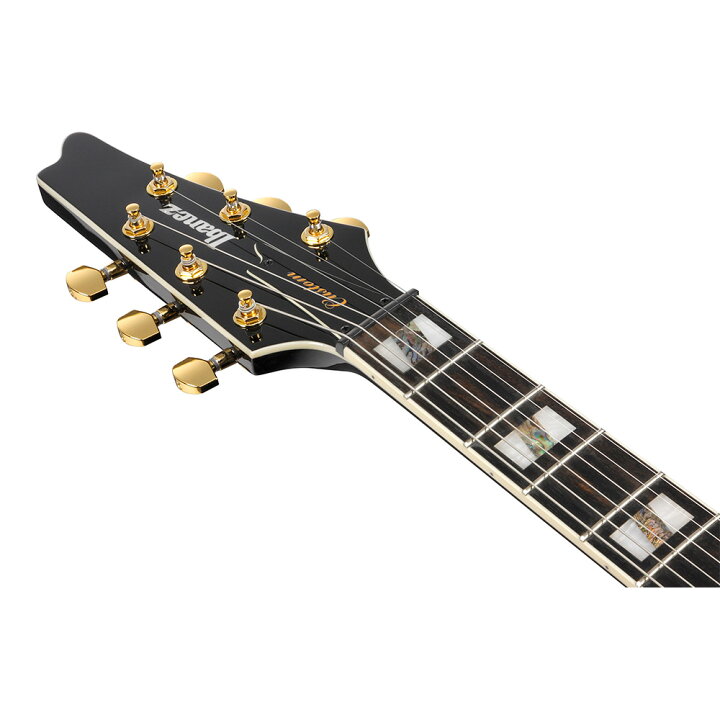 楽天市場】Ibanez SIGNATURE MODEL Paul Gilbert FRM350-BK (Black 