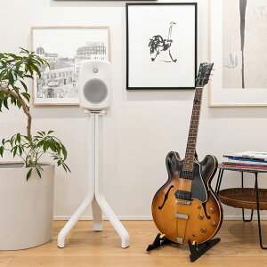 GENELEC 8000-450W zCg [TRIOL X^h]