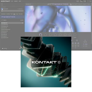 Native Instruments Kontakt 8 Update [���[���[�i]