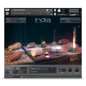 Native Instruments India [���[���[�i]