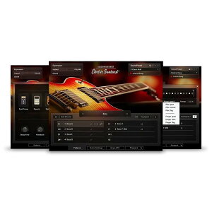 Native Instruments Session Guitarist - Electric Sunburst [[[i]