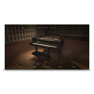 Native Instruments Noire [���[���[�i]