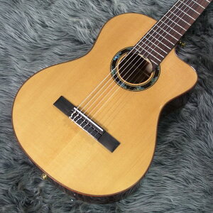 ELK GUT 8 Natural [ƂꂵANZT[ v[gtFAI]