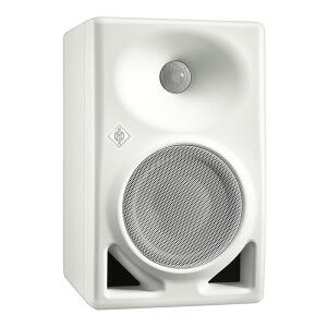 NEUMANN KH 120 II W AES67i1{