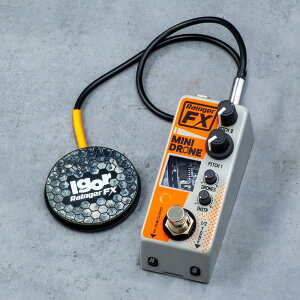 Rainger FX Minidrone