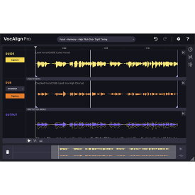 Synchro Arts VocAlign 6 Pro [V6P] [メール納品]