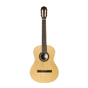 Cordoba Protege CP100 Guiter Pack