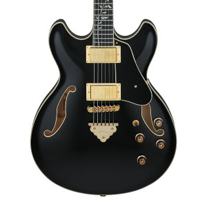 Ibanez AS Artcore Expressionist AS93SP-BK (Black)