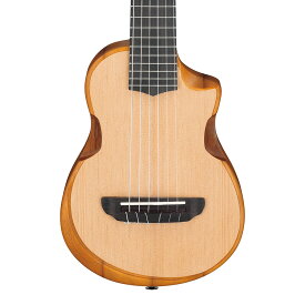 Ibanez AUP10N-OPN (Open Pore Natural)