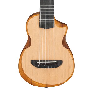 Ibanez AUP10N-OPN (Open Pore Natural)