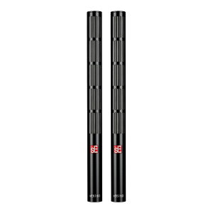 sE Electronics sE6160 Pair