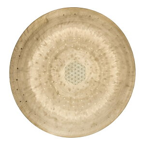 MEINL Sonic Energy 12 / 30cm Flower of Life Wind Gong [WGFOL12]