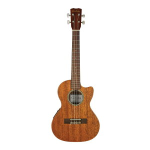 Cordoba 20TM-CE / NATURAL
