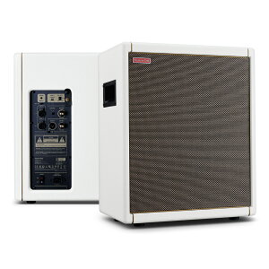 Positive Grid Spark CAB Pearl