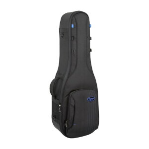 Reunion Blues Expedition RBC232E Double Electric Guitar Case