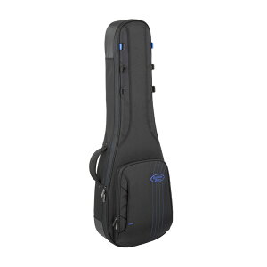 Reunion Blues Expedition RBC23LP LP Style Guitar Case