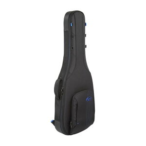 Reunion Blues Expedition RBC23SHSemi Hollow Electric Case