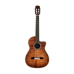 Cordoba Fusion FUSION 12 / CINNAMON BURST